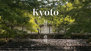 二尊院 嵯峨 涼音と緑陰の道 Kyoto Saga Nison-in | Finding peace in the sound of wind bells