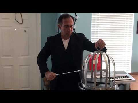 Rehearsing Dove Magic for Upcoming Show