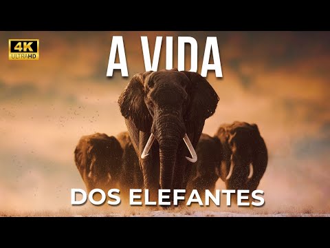 The GIANTS of the Earth | The Secret Life of ELEPHANTS | Full Documentary in 4K