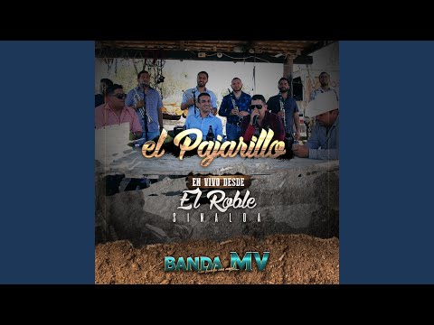 El Pajarillo (En Vivo Desde el Roble Sinaloa)
