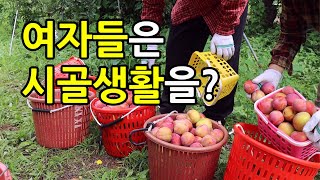 여자들은 시골생활을? (시골 수다)