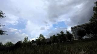 Tangerine Dream Rainbirds