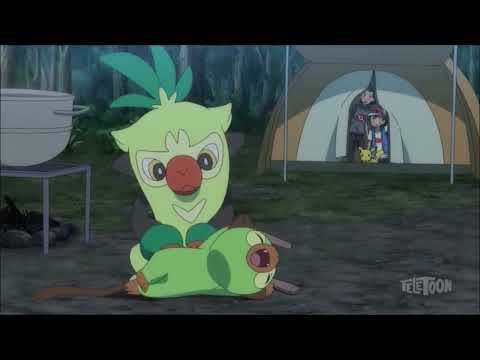 Thwackey's 2nd Pokedex Entry - A One Stick Wonder