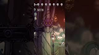 Monumental bug in the coliseum of fools