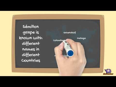 download lagu mp3 mp4 Muscatels On The Vine, download lagu Muscatels On The Vine gratis, unduh video klip Muscatels On The Vine