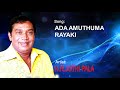 ADA AMUTHUMA RAYAKI