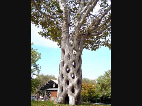 Walkie Talkie Man - Steriogram (Lyrics in Underbar)