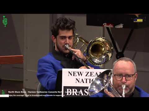 ***** - Concerto N°10 by Ludovic Neurohr.