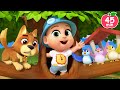 Baby S First Swing The Green Grass Grew MORE Lalafun Nursery Rhymes Kids Songs
