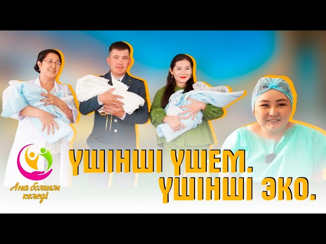 Үшінші үшем. Үшінші ЭКО