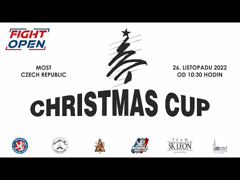 Christmas Cup
