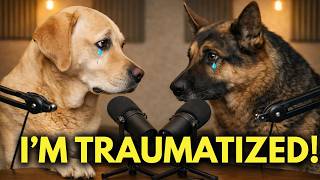 Your Dog Will NEVER Forgive These Things