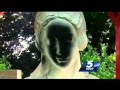 Church Members Saddened Disrespected By Vandalized Statue Of Virgin Mary