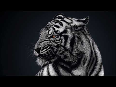 R4ge - Coronita Minimal Mix 25. 2017 autumn