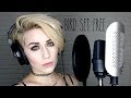 Bird Set Free - Sia (Live Cover by Brittany J Smith)
