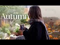 Cosy Autumn Vlog Antiques Hunting Simmer Pots Finding Joy In Ordinary Days