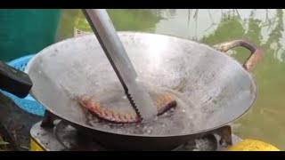 [自抒] 不要再妄想煮蜈蚣了