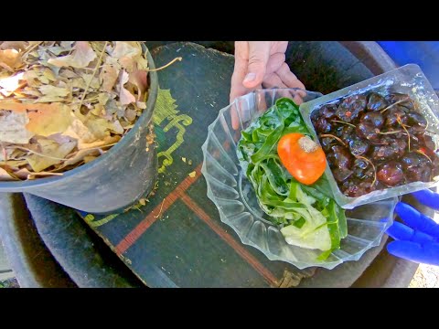 Outdoor worm bag "v5" gets another big bedding boost on day 170 - vermicompost