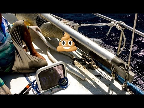Is that POO?? Reality of life at SEA  Episode 108 Sailing Catalpa