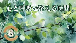 Download lagu 【1/fゆらぎ】心と呼吸を整える。チェロとハープの安らぎ | 8 Hours of Cello & Harp: Deep Relaxation for Mind & Breath mp3 Download lagu 【1/fゆらぎ】心と呼吸を整える。チェロとハープの安らぎ | 8 Hours of Cello & Harp: Deep Relaxation for Mind & Breath mp3