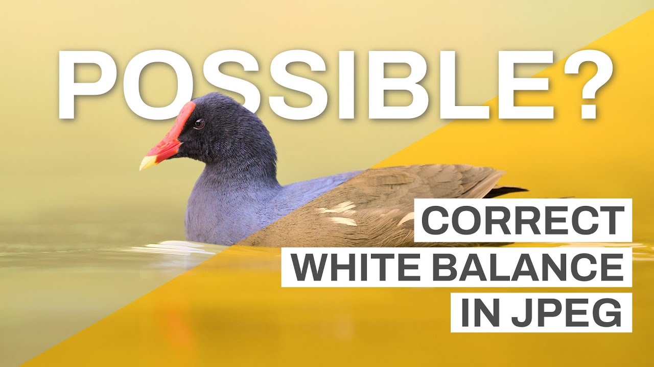 Can You Correct White Balance in JPEG? RMSE Calculations, Analysis