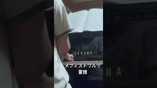 Download lagu リスト　メフィストワルツ冒頭 mp3