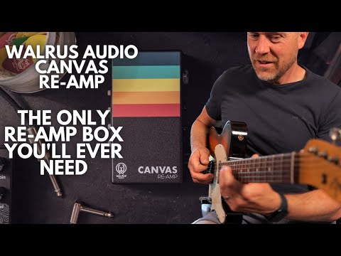 Walrus Audio Canvas Re-Amp image 7