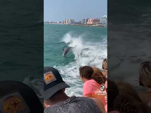 Playa de Clearwater beach