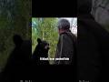 He really loves the bears #story #bear #nature #love #friendship #shorts #animals