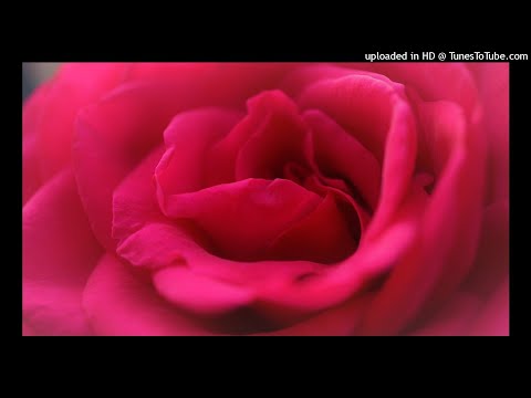 DJ SOK - Pourtant lé vrai