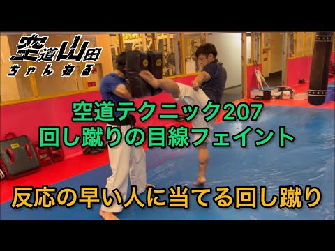 【武道】空道テクニック207「回し蹴りの目線フェイント」【格闘技】