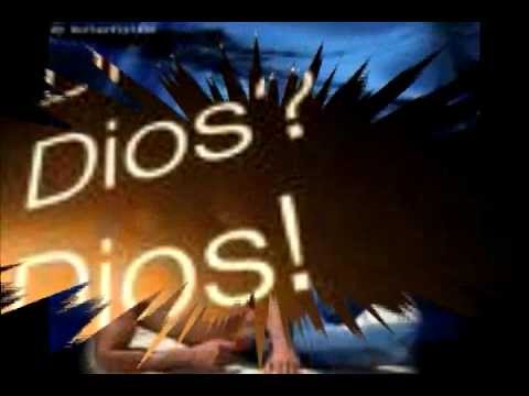 REFUGIO DE AMOR Y LOS ROLLERS DIOS