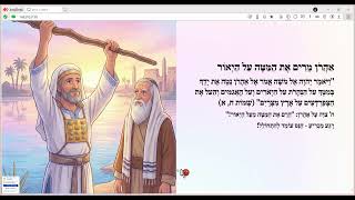 סיכום שיעור: מכת צפרדע