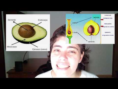 Aula 43: Organologia  do Fruto  - Parte 1