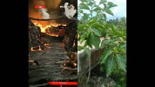 Download lagu #surgavsneraka #sholat #sholawat mp3