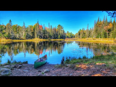 BELL LAKE LOOP - KILLARNEY - 4 DAY SOLO CAMP - DAY 4 #camping #ontarioparks #canoeing #backcountry