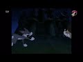 Animaniacs Let S Try For Two Danish