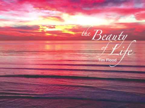Tim Flood and Friends - The Beauty Of Life
