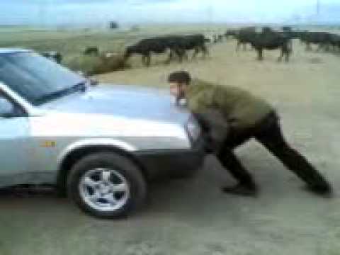 Чеченец Против Лады