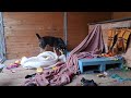 Jasper 0489/20