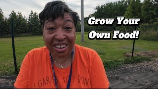Transplanting Cucumbers, Watermelons, Peanuts, and Potatoes