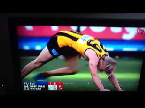 The 2014 AFL Grand Final (The Final Siren)