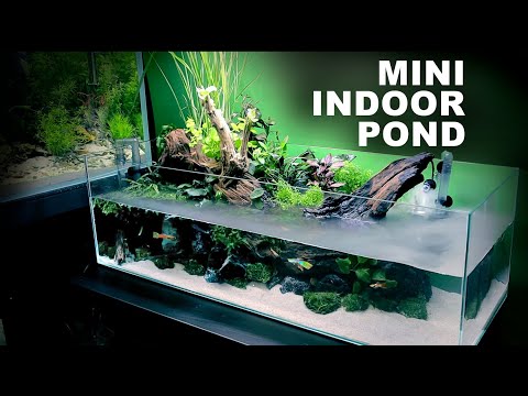 , title : 'Aquascape Tutorial: Indoor Mini Pond Aquarium (How To: Full Step By Step Guide, Planted Fish Tank)'