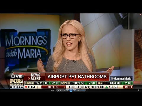 05-02-16 Kat Timpf on Mornings with Maria - Airport Bathroom for Pets
