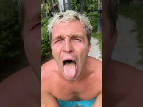 Crazy Dog 🐶 on the beach #crazykozak #dogshorts #dogvideos