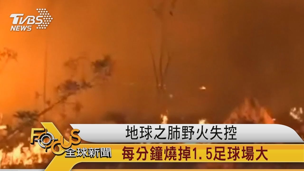 地球之肺野火失控 每分鐘燒掉1.5個足球場大