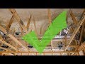 Attics/Roofs - Dumb vs. Smart - How to Build Correctly