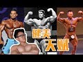 什么是健美天赋?