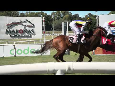 230205 c03 M Quintela/ DON MUSA (BRZ)