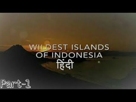 Wildest Islands of Indonesia हिंदी Animal Planet Documentary | Part 1